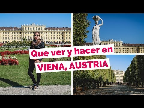 Qué ver y hacer en Viena
